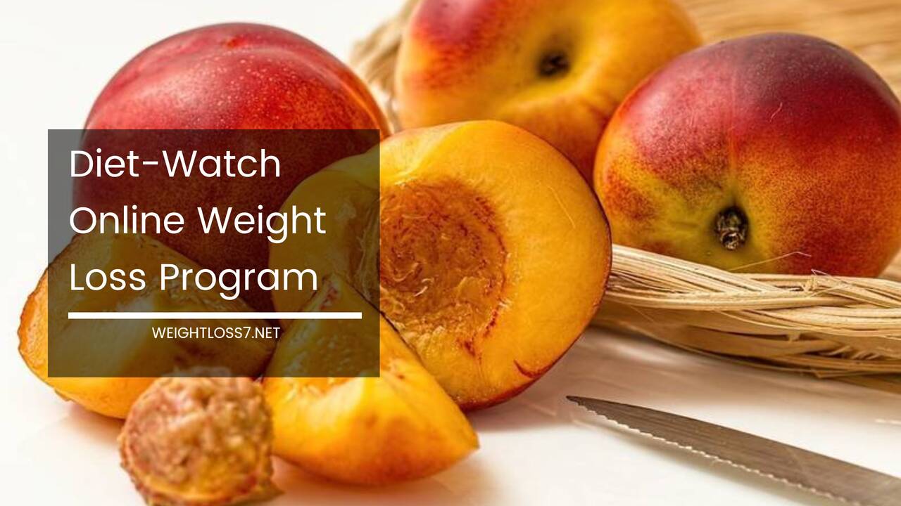 Diet-Watch Online Weight Loss Program