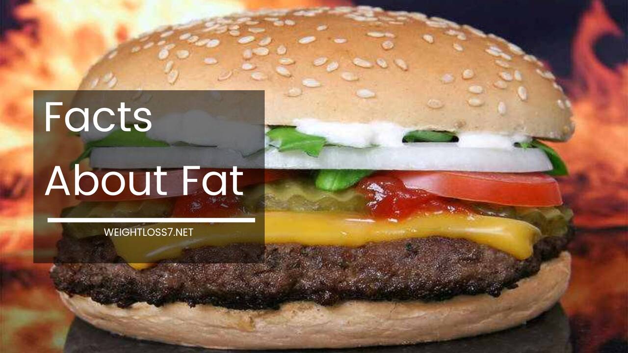 Facts About Fat