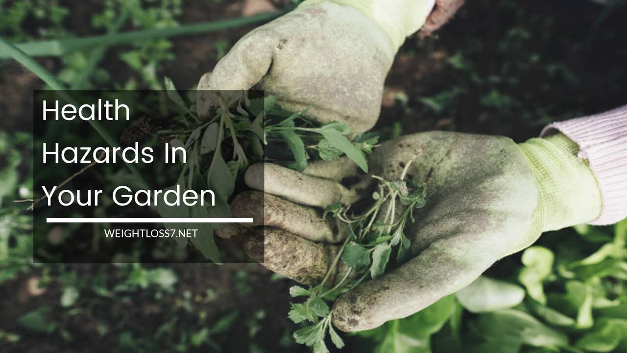 Health Hazards In Your Garden