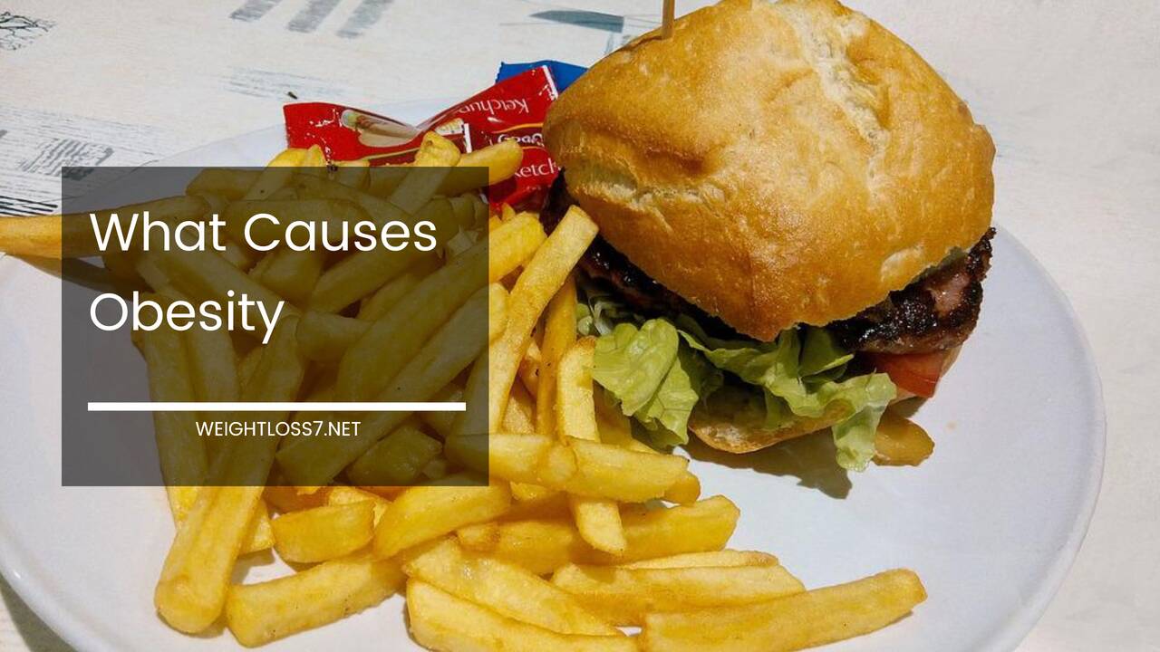 What Causes Obesity